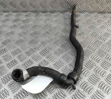 Renault Zoe Engine coolant pipe/hose 217410021R