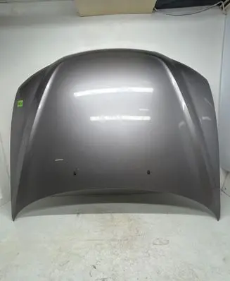 Engine bonnet/hood