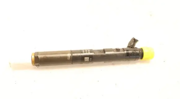 Renault Megane III Fuel injector EJBR05102D