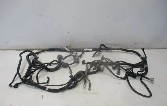 Nissan Murano Z51 Other wiring loom