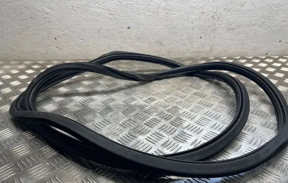 Porsche Cayenne (9Y0 9Y3) Rubber seal front coupe door 