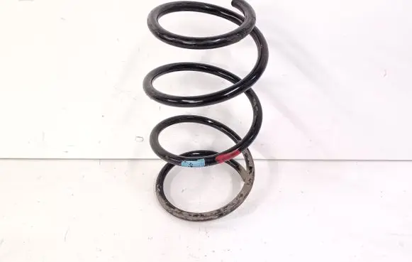 Front coil spring