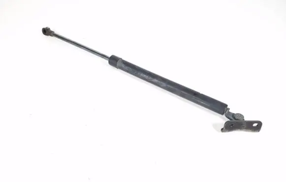 Tailgate strut