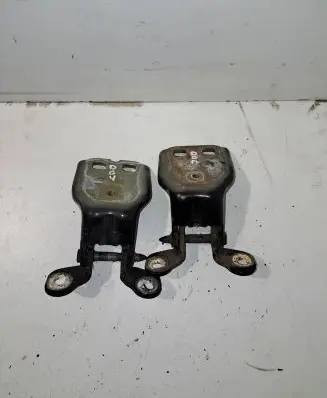 Chrysler Pacifica Rear door hinge set 
