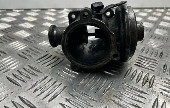 EGR valve