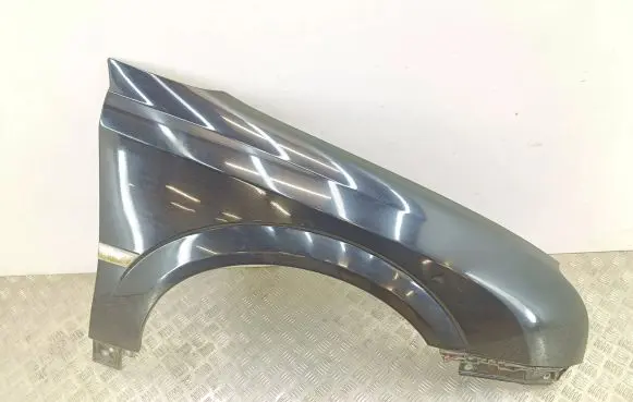Opel Signum Fender
