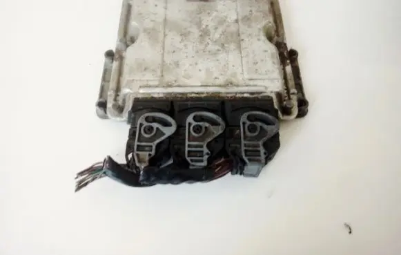 Renault Laguna II Engine control unit/module 0281010556 8200153946