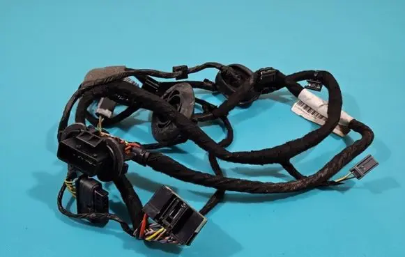 Rear door wiring loom