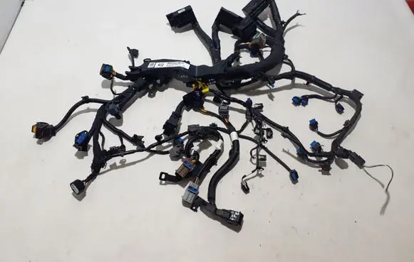 Engine installation wiring loom