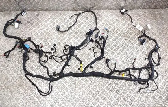 Ford Mach-E I Other wiring loom NJ8T-14401