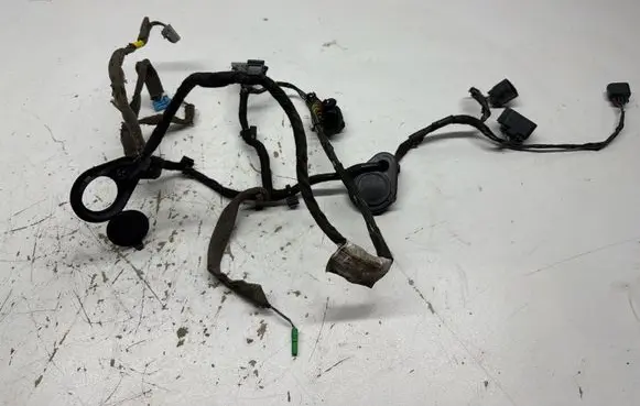 Volvo S80 Wiring harness 31318673