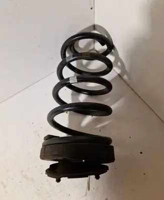 Rear coil spring