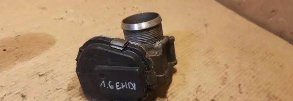 Throttle body valve