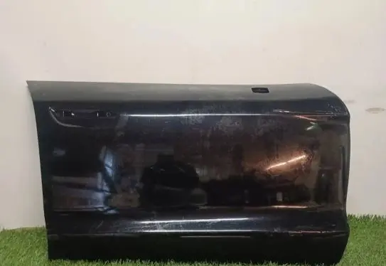 Porsche Taycan 9J1 Front door