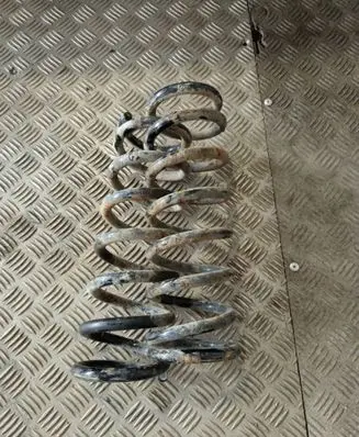 Rear coil spring