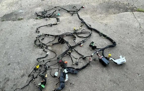 Peugeot 3008 II Left interior wiring harness 23443