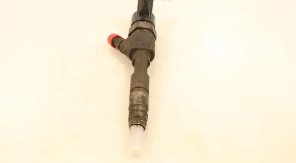 Renault Espace - Grand espace IV Fuel injector 0445110110B