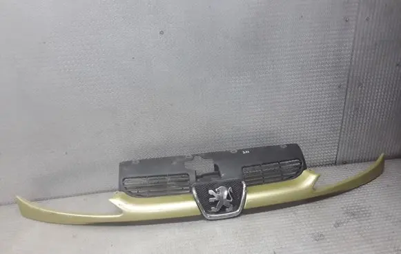 Peugeot 206 Front grill 9628934280