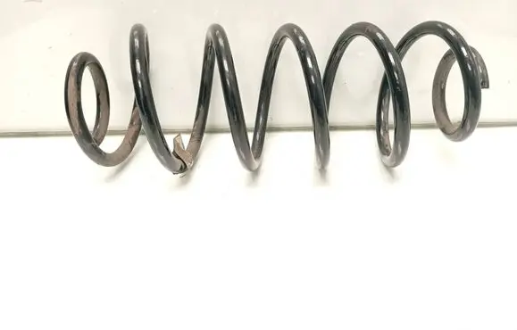 Rear coil spring
