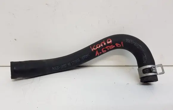 Hyundai Kona I Engine coolant pipe/hose 91631-10057