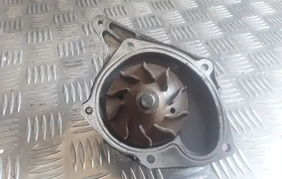 Renault Scenic III - Grand scenic III Water pump 01112757