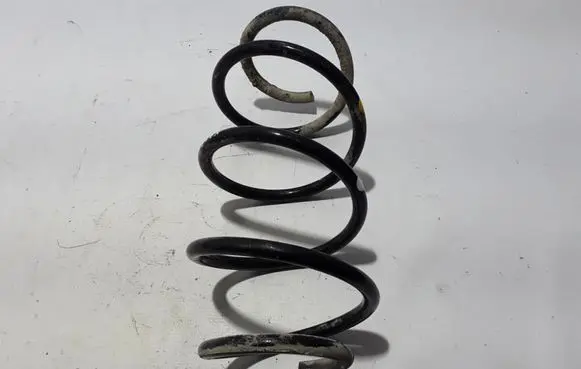 Renault Kadjar Front coil spring 540104ED1A