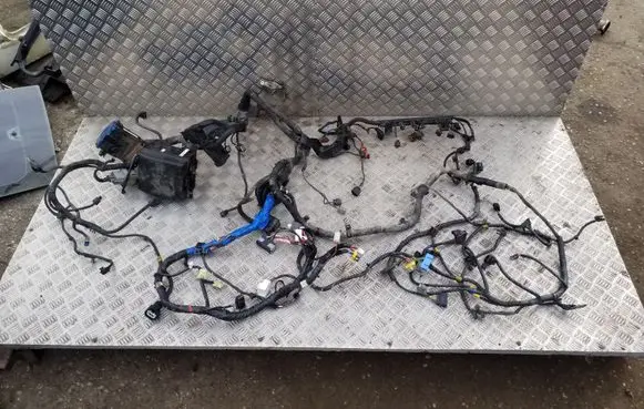 KIA Sportage Other wiring loom