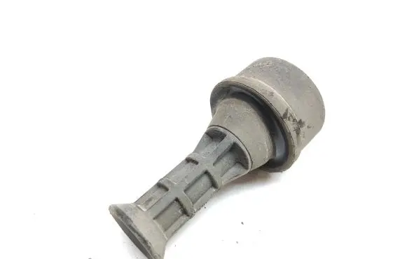 Renault Espace V (RFC) Rear coil spring rubber mount 555231648R