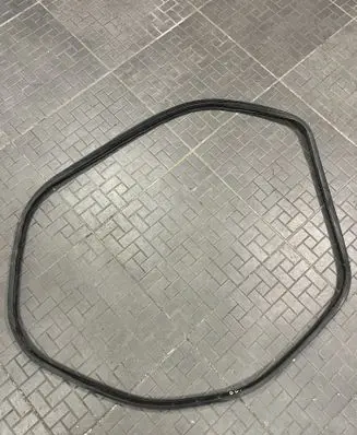 Peugeot 4007 Rear door rubber seal (on body) 