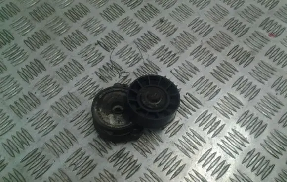Citroen C8 Generator/alternator belt tensioner