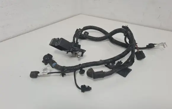 Positive wiring loom