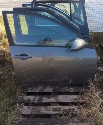 Nissan Primera Front door