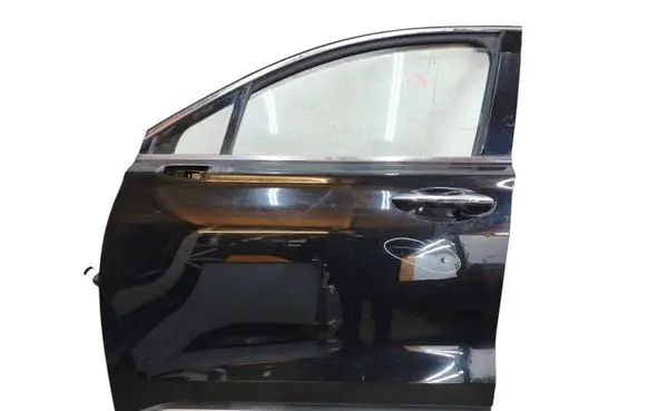Hyundai Santa Fe Front door 