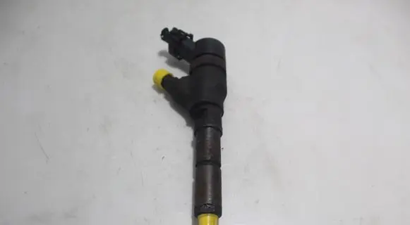 Peugeot 307 Fuel injector 0445110078