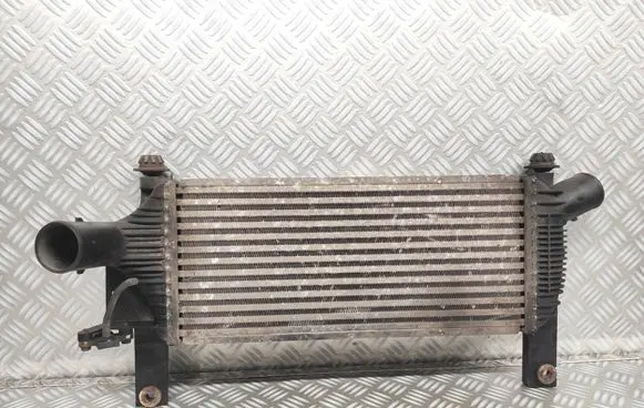 Nissan Navara D40 Intercooler radiator 14461EB360