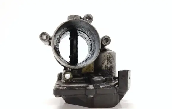 Volkswagen Tiguan Throttle valve A2C53338105
