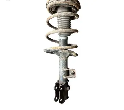 KIA Carens II Front shock absorber with coil spring