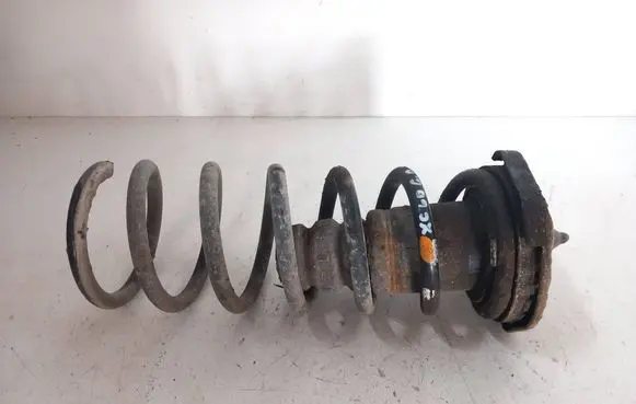 Rear coil spring