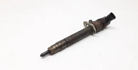 Volvo V70 Fuel injector 3077526 0445110298