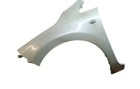 Nissan Leaf I (ZE0) Fender
