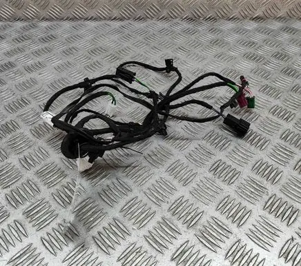 Front door wiring loom