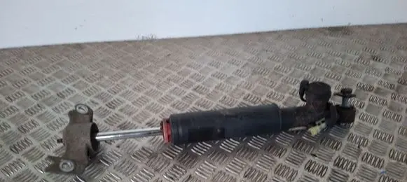 Opel Insignia A Rear shock absorber/damper 13319762