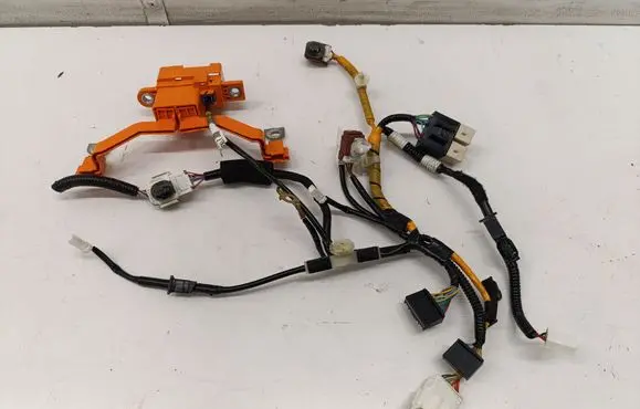 Other wiring loom