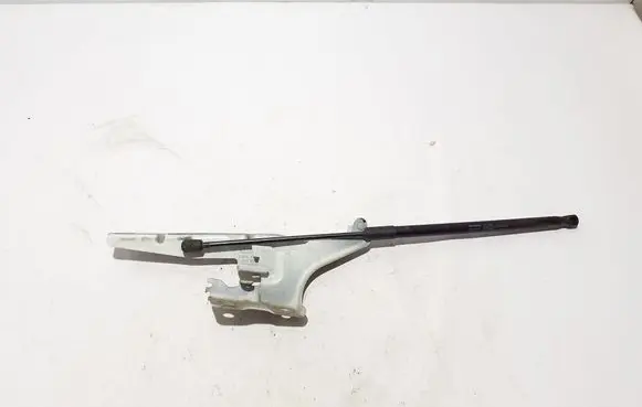 Engine bonnet/hood hinges