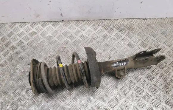 Lexus UX Front shock absorber/damper 4852076170