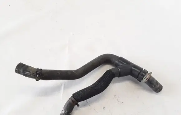 Dacia Sandero Engine coolant pipe/hose 924003836R