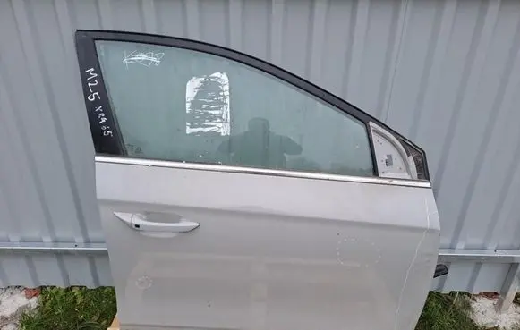 Hyundai Ioniq Front door