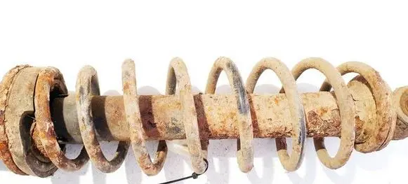 Rear coil spring