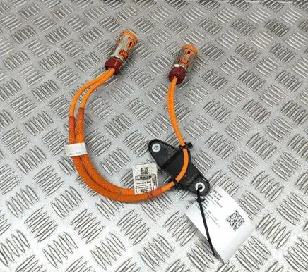 BMW iX Other wiring loom 5A0C139 5A0C138
