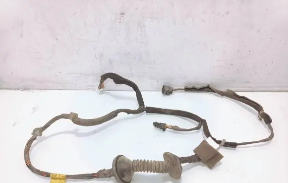 Hyundai Elantra Rear door wiring loom 916312d010